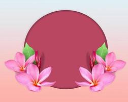 Circle frame of Pink Plumeria flower. photo