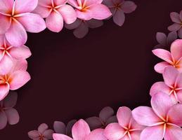 Frame of flowers, pink frangipani flower and Copy space. photo