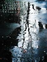 A blurry image of a tree silhouette reflected on water surface. photo