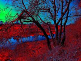 Stylized landscape with a tree and a river in the background. photo