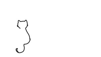dibujo de una sola línea de un gato sentado hay un espacio de copia para su texto. video