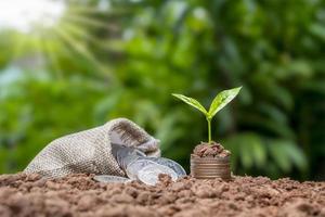 Tree growing on a pile of coins with money bag on soil and green background, finance and economic growth concept.