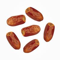 Dried dates isolated on white background. ramadan iftar food. vector