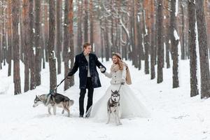 Cheerful bride and groom with two siberian husky are posed on background of snowy forest. photo
