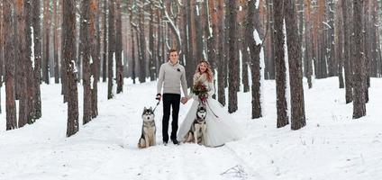 Cheerful couple are playing with siberian husky in snowy forest. Winter wedding. photo