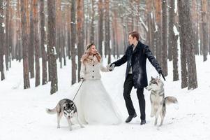 la novia y el novio alegres con dos husky siberianos se posan en el fondo del bosque nevado. foto