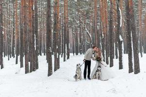 Cheerful bride and groom with two siberian husky are posed on background of snowy forest. photo