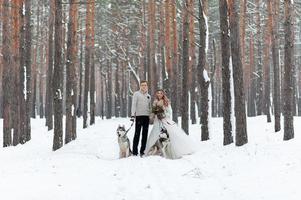 la novia y el novio alegres con dos husky siberianos se posan en el fondo del bosque nevado. foto