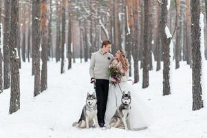 Cheerful couple are playing with siberian husky in snowy forest. Winter wedding. photo