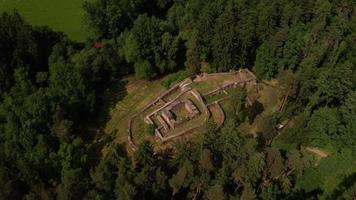 Aerial view of ruins in forest