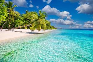 hermosa pancarta de playa tropical. arena blanca y palmeras de coco, turismo de viajes amplio concepto de fondo panorámico. increíble paisaje de playa. isla de lujo, naturaleza, vacaciones de aventura o vacaciones, foto