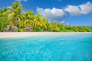 hermosa pancarta de playa tropical. arena blanca y palmeras de coco, turismo de viajes amplio concepto de fondo panorámico. increíble paisaje de playa. isla de lujo, naturaleza, vacaciones de aventura o vacaciones, foto