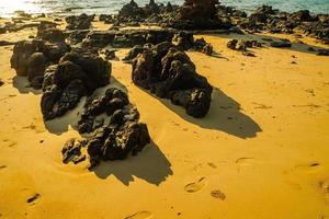 piedra en la playa foto