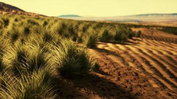 Stoney desert in outback Australia photo