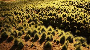 Stoney desert in outback Australia photo