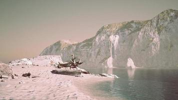 acantilados de piedra y arena broun en la costa del océano foto