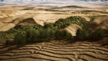 desierto pedregoso en el interior de australia foto