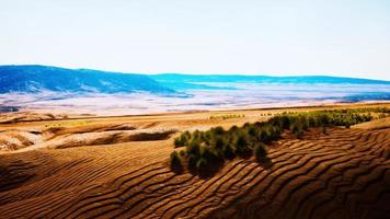 desierto pedregoso en el interior de australia foto