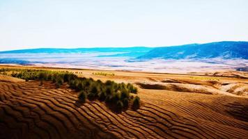 desierto plano con arbustos y hierba foto