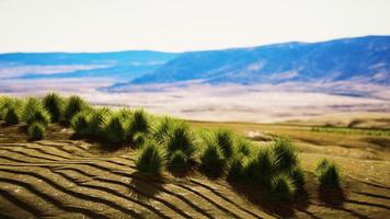 Hermosa duna de arena naranja amarilla en el desierto de Asia central foto