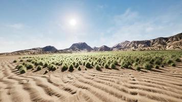 paisaje desértico en el parque nacional del cráter foto