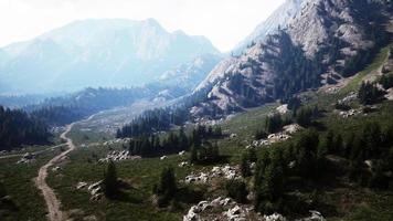 camino sinuoso en las montañas con bosque de pinos foto