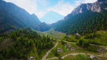 Bird's eye view of road running through beautiful green pine woods photo