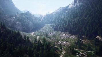 camino sinuoso en las montañas con bosque de pinos foto