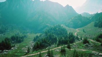 Winding road in the mountains with pine forest photo