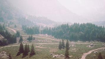 Winding road in the mountains with pine forest photo