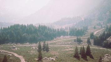 Aerial view of green coniferous forest in the mountains photo