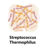 bacterias probióticas. lactobacillus, logotipo de bulgaricus con texto. se muestran símbolos amorfos para productos lácteos como yogur, acidophilus. se muestran lactococcus, propionibacterium. vector