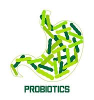 bacterias probióticas. lactobacillus, logotipo de bulgaricus con texto. se muestran símbolos amorfos para productos lácteos como yogur, acidophilus. se muestran lactococcus, propionibacterium. vector