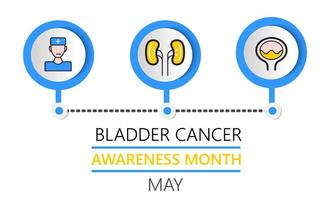 Bladder cancer awareness month is celebrated in May. Info-graphic vector of pyelonephritis, diseases. Kidneys, cystitis, bladder icons are shown. Nephropathy, renal failure, diseases