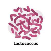 Probiotics bacteria. Lactobacillus, bulgaricus logo with text. Amorphous symbols for milk products are shown such as yogurt, acidophilus. Lactococcus, propionibacterium are shown. vector