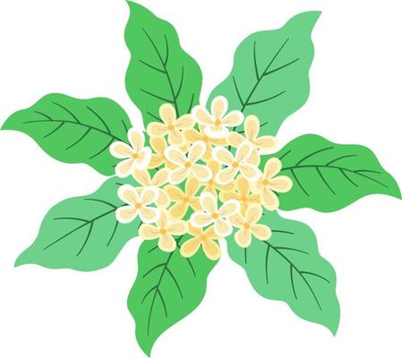 Laurel Flower Globular