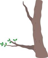 a Section of Tree Trunk vector