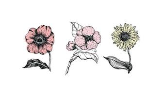 Vintage flowers set. Botanical sketch. Vector illustration
