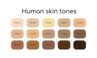 Skin tones palette by color codes. Different types human skin.  Flat icon set. Vector