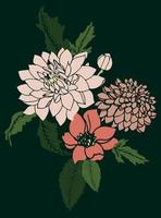 Dahlia floral bouquet vector