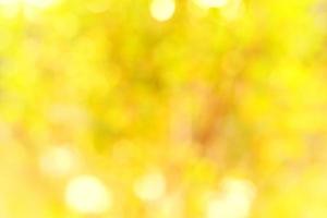 Nature yellow bokeh background - Warm yellow golden color tone blurred orange foliage of a tree with sun  natural photo