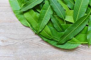 Mango leaves from tree on wooden , top view - Green seamless mango leaf texture background photo