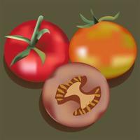 Ilustración de tomate realista 3d vector