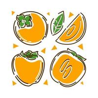 Persimmon set on a white background. Abstract. Vector illustration.