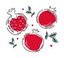 Pomegranate fruit on a white background with leaves. Hand-drawn abstract illustration. Vector. vector