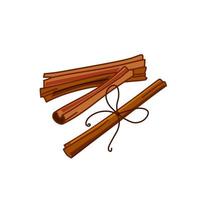 Cinnamon sticks. A flavorful, aromatic spice for cooking, baking, health food, and medical purposes. Vector illustration in cartoon style.