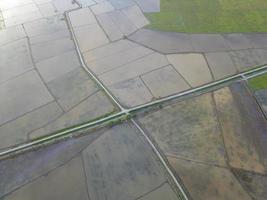 Aerial top down view junction at paddy field. photo