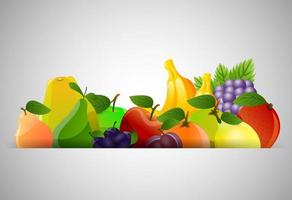 Horizontal background with various colorful fruits on a grey background vector