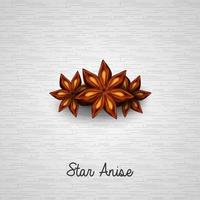 Star anise on white background vector
