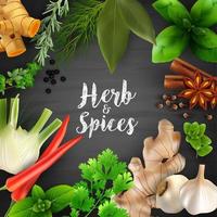 Spices and herbs on the blackboard chalk background.Vector illustration